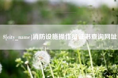 黔东消防设施操作员证书查询网址