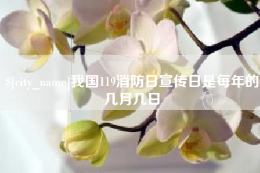 黔东我国119消防日宣传日是每年的几月几日