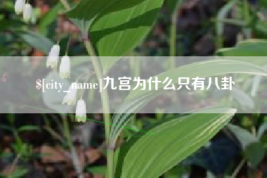 黔东九宫为什么只有八卦