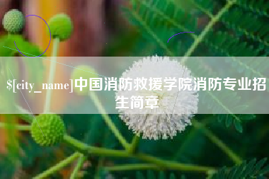 黔东中国消防救援学院消防专业招生简章