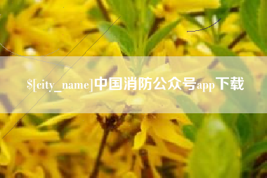 黔东中国消防公众号app下载