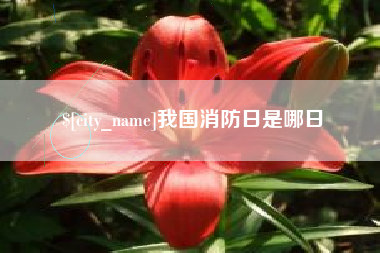 黔东我国消防日是哪日