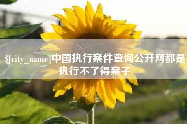 黔东中国执行案件查询公开网都是执行不了得案子