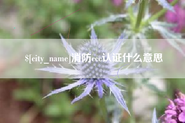 黔东消防ccc认证什么意思