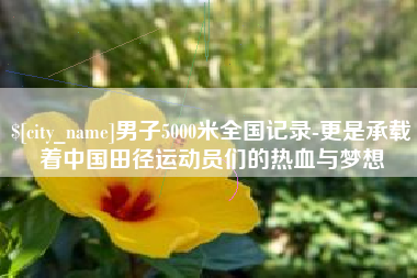 黔东男子5000米全国记录-更是承载着中国田径运动员们的热血与梦想