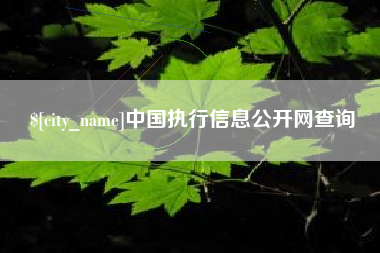 黔东中国执行信息公开网查询