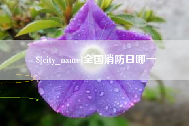 黔东全国消防日哪一