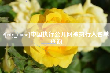 黔东中国执行公开网被执行人名单查询