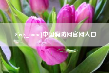 黔东中国消防网官网入口
