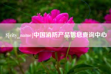 黔东中国消防产品信息查询中心