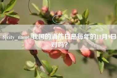 黔东我国的消防日是每年的11月9日对吗？