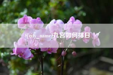黔东九宫如何排日