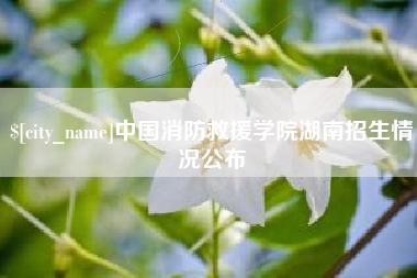 黔东中国消防救援学院湖南招生情况公布