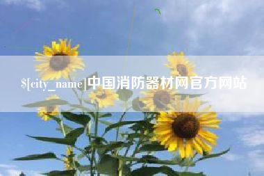 黔东中国消防器材网官方网站