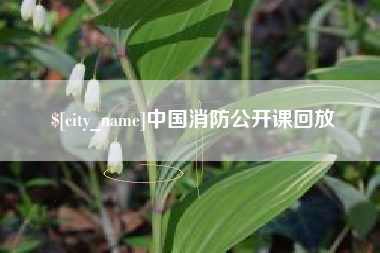 黔东中国消防公开课回放