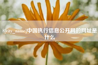 黔东中国执行信息公开网的网址是什么