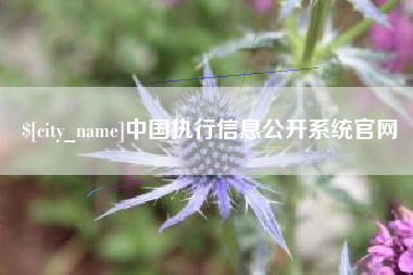 黔东中国执行信息公开系统官网