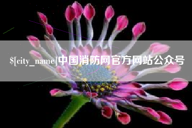 黔东中国消防网官方网站公众号