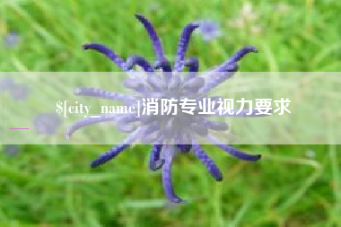 黔东消防专业视力要求