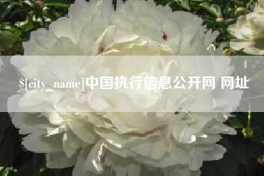黔东中国执行信息公开网 网址