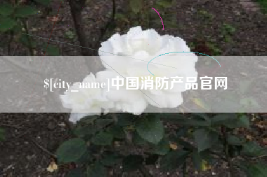 黔东中国消防产品官网