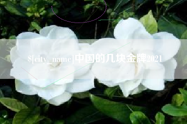 黔东中国的几块金牌2021