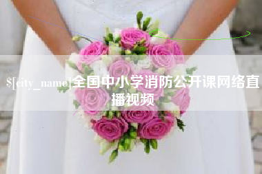 黔东全国中小学消防公开课网络直播视频