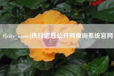 黔东执行信息公开网查询系统官网
