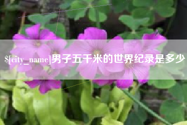 黔东男子五千米的世界纪录是多少