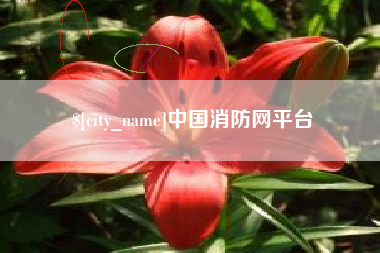 黔东中国消防网平台