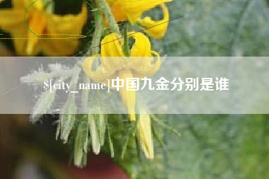 黔东中国九金分别是谁
