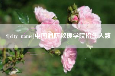 黔东中国消防救援学院招生人数