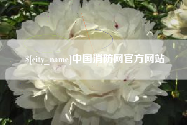 黔东中国消防网官方网站