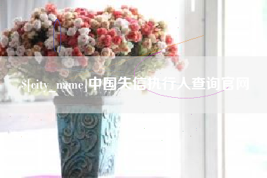 黔东中国失信执行人查询官网