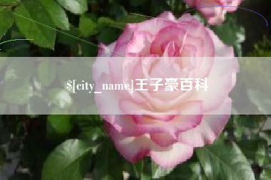 黔东王子豪百科