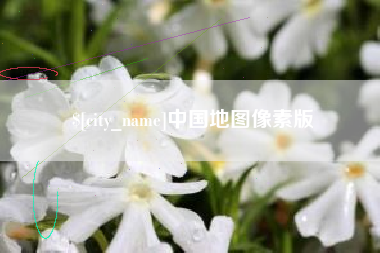 黔东中国地图像素版