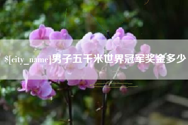 黔东男子五千米世界冠军奖金多少