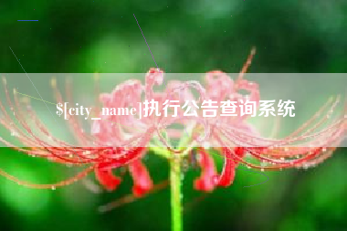 黔东执行公告查询系统