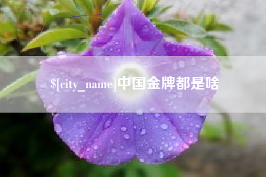 黔东中国金牌都是啥