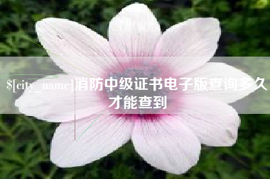 黔东消防中级证书电子版查询多久才能查到
