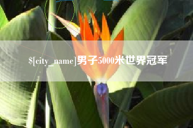 黔东男子5000米世界冠军