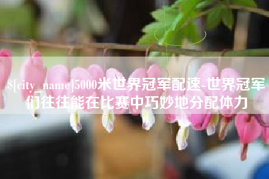 黔东5000米世界冠军配速-世界冠军们往往能在比赛中巧妙地分配体力