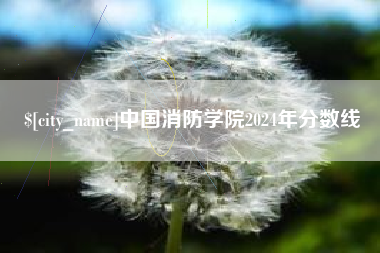 黔东中国消防学院2024年分数线