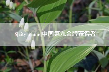 黔东中国第九金牌获得者