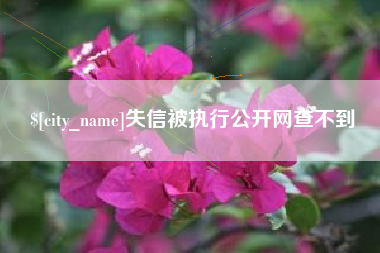 黔东失信被执行公开网查不到