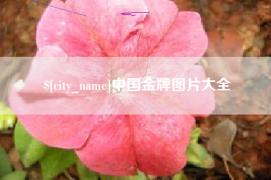 黔东中国金牌图片大全