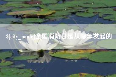 黔东全国消防日是从哪年发起的