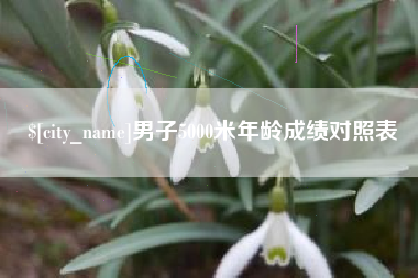 黔东男子5000米年龄成绩对照表