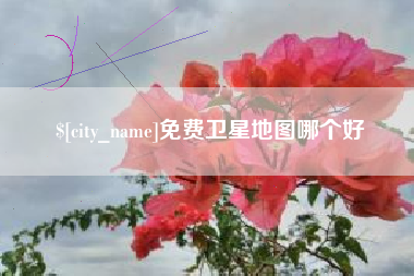 黔东免费卫星地图哪个好