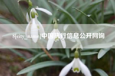 黔东中国执行信息公开网询